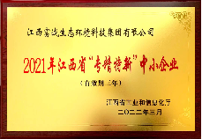 九州（中国）集团荣获2021年江西省“专精特新”中小企业